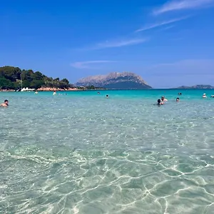 https://olbia-53-11-apartment.in-sardinia.net