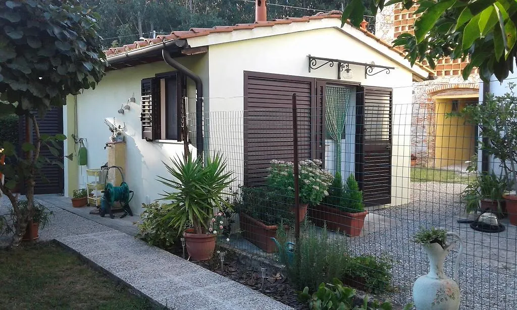 Da Lilly Apartment Lucca
